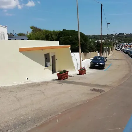 Cordella 5 Patu